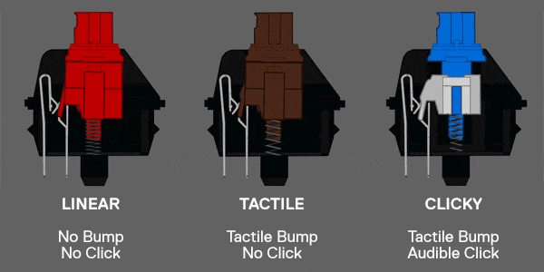 GIF showing 3 switch types and how they work, Linear Tactile and Clicky